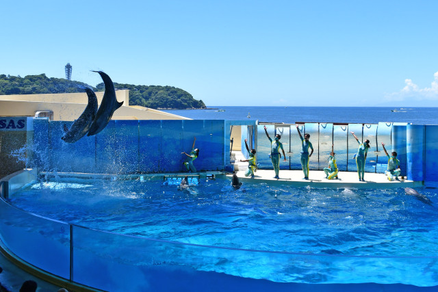 新江ノ島水族館